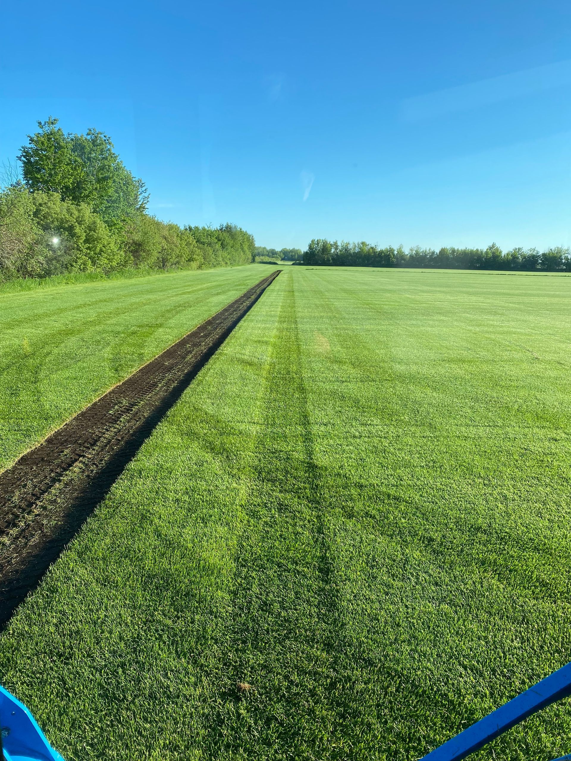 A wide, bright green field under a clear blue sky, showing a freshly mowed path and straight tire tracks through the grass.
