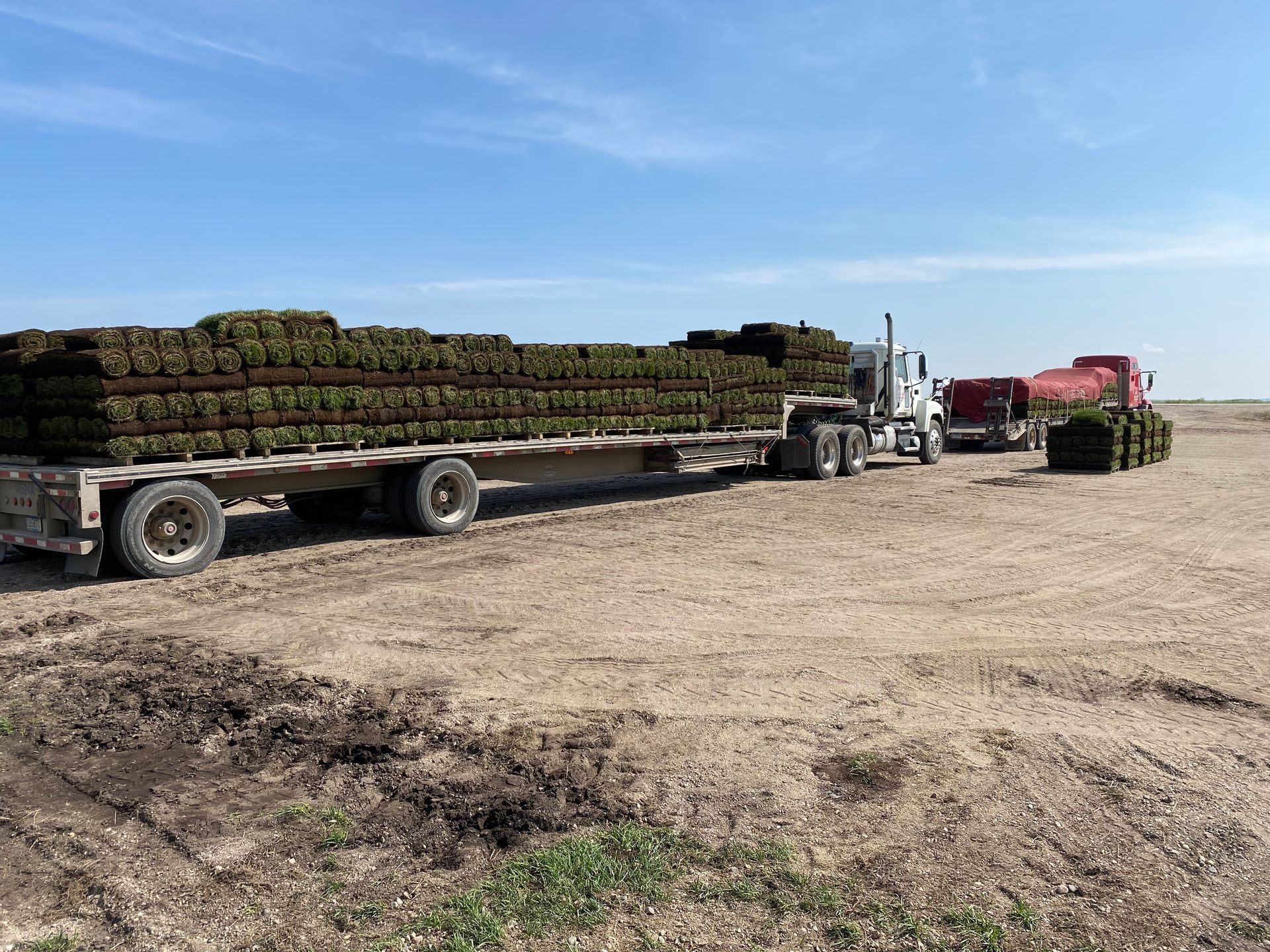 A white flatbed truck loaded with stacked rolls of sod parked in a dirt field under a clear blue sky.
