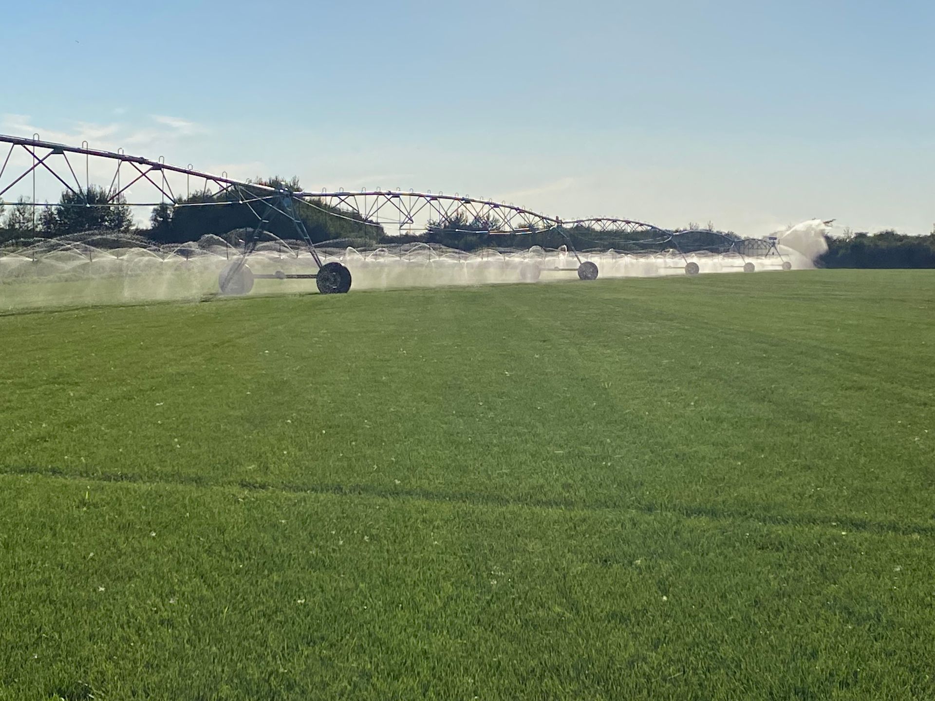 A large center-pivot irrigation system sprays water across a vibrant green agricultural field under a clear blue sky.