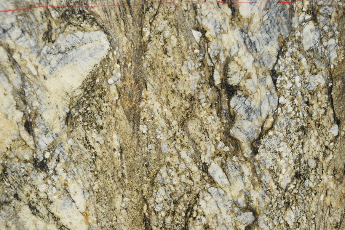 A close up of a rock with a lot of small stones on it.