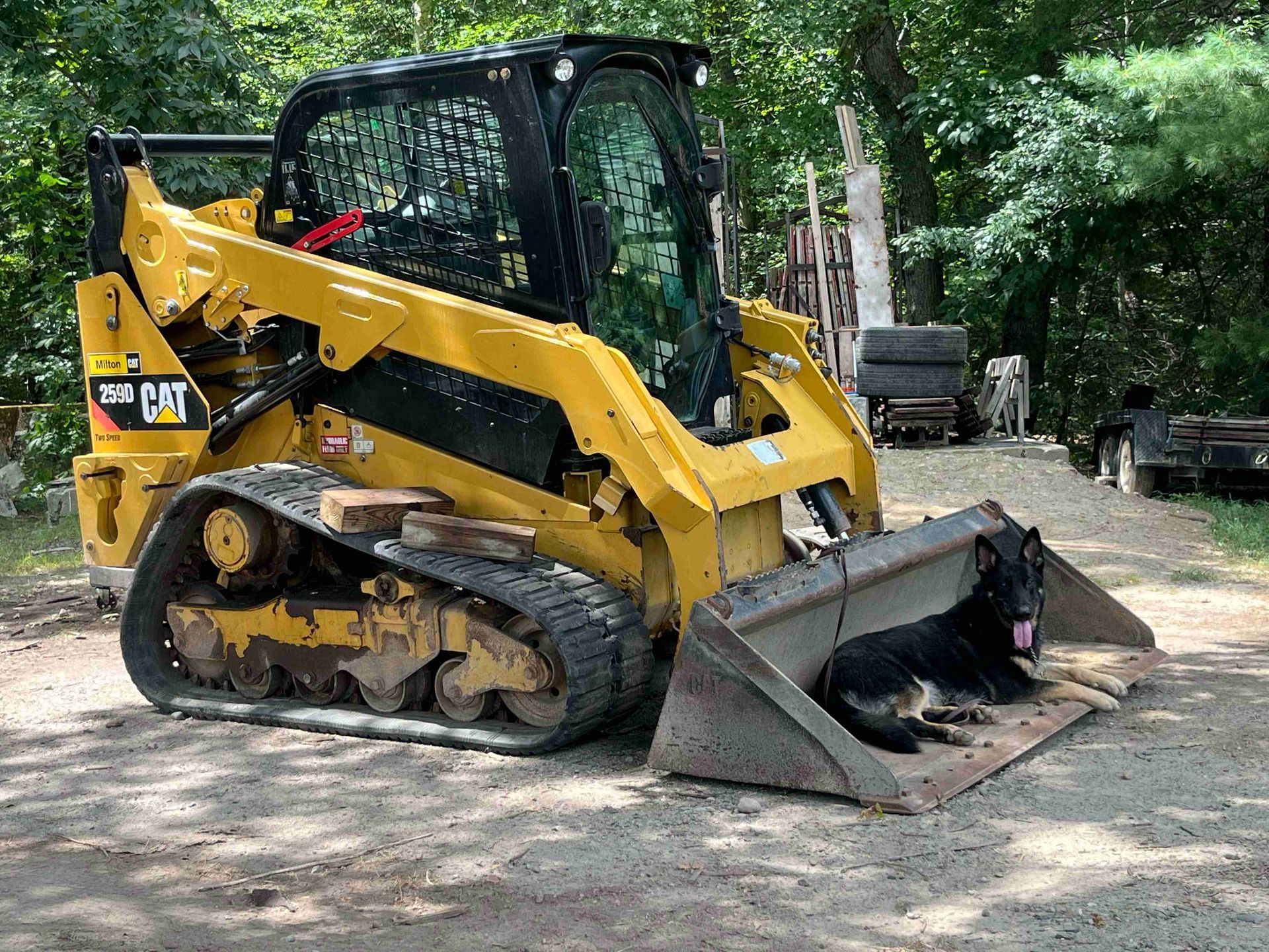 Yellow compact track loader with bucket on a dirt lot near trees