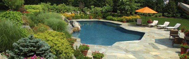 Landscape and hardscape with pool