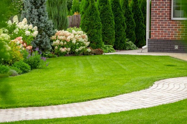 A lush green lawn with a brick walkway leading to a brick house.