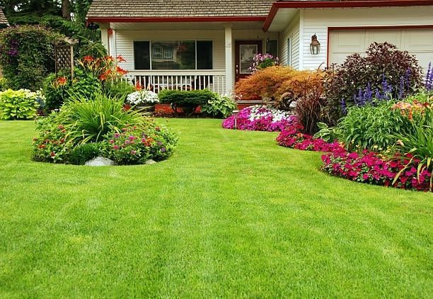 A house with a lush green lawn and flowers in front of it.