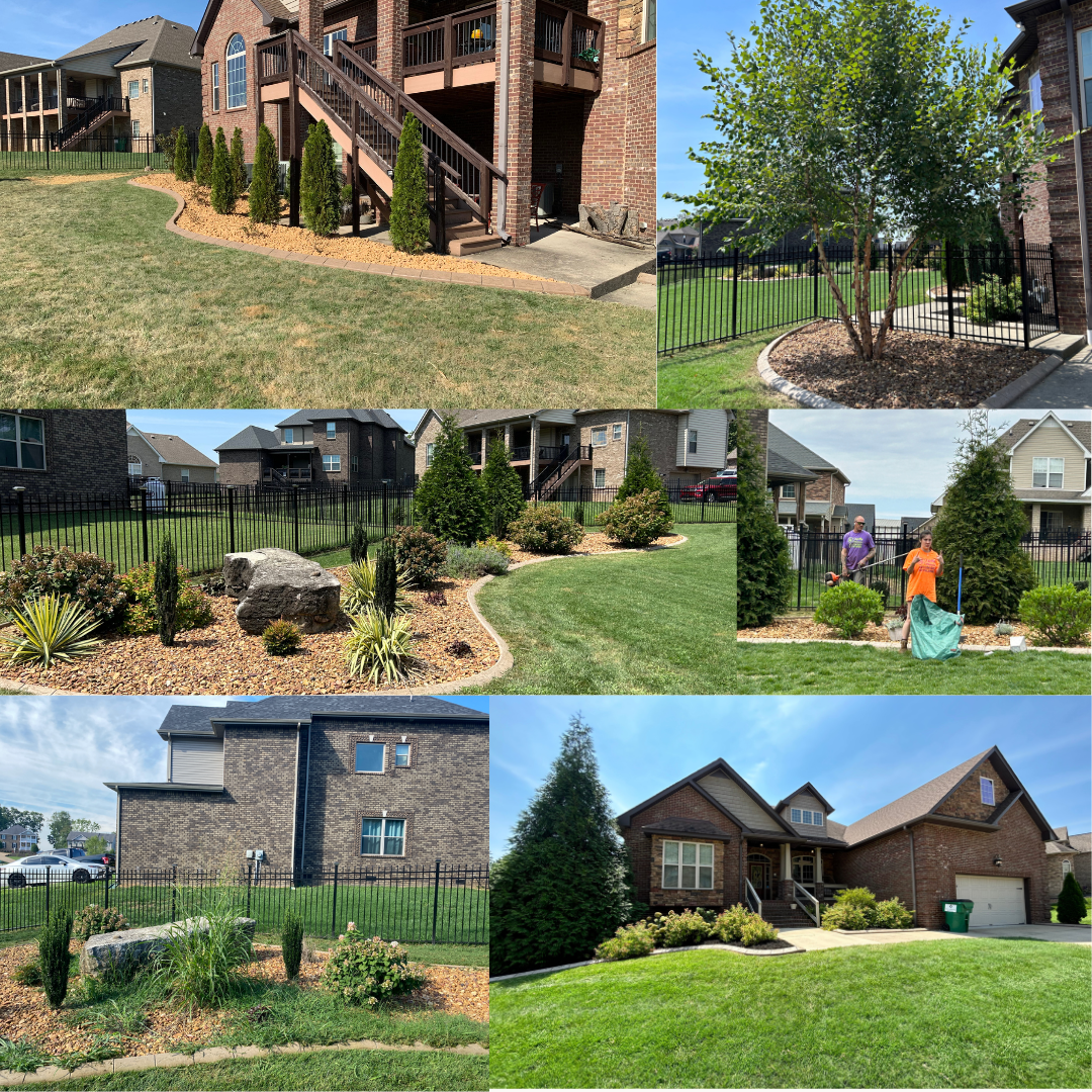 A collage of pictures of a house and its landscape.