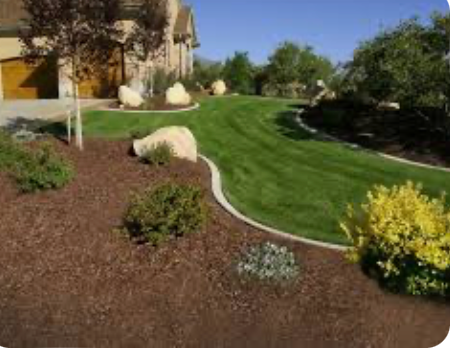 A lush green lawn with rocks and bushes in front of a house.