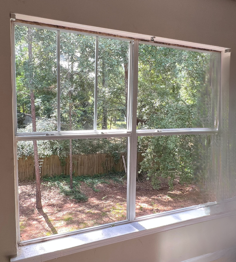 White-framed window overlooking trees and a wooden fence in a backyard.