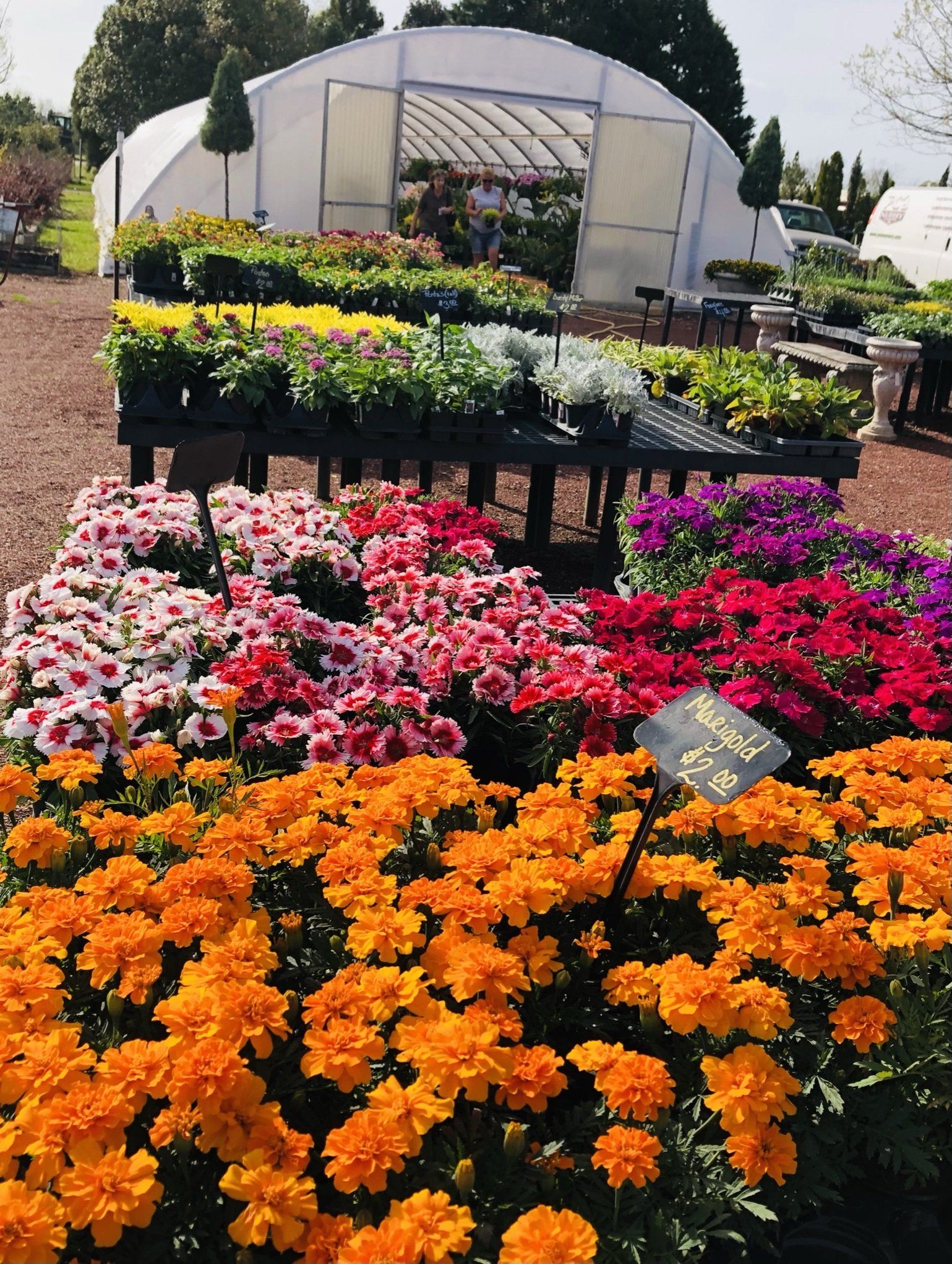 PC's Nursery & Landscaping Inc. Nursery Photo Gallery Dothan