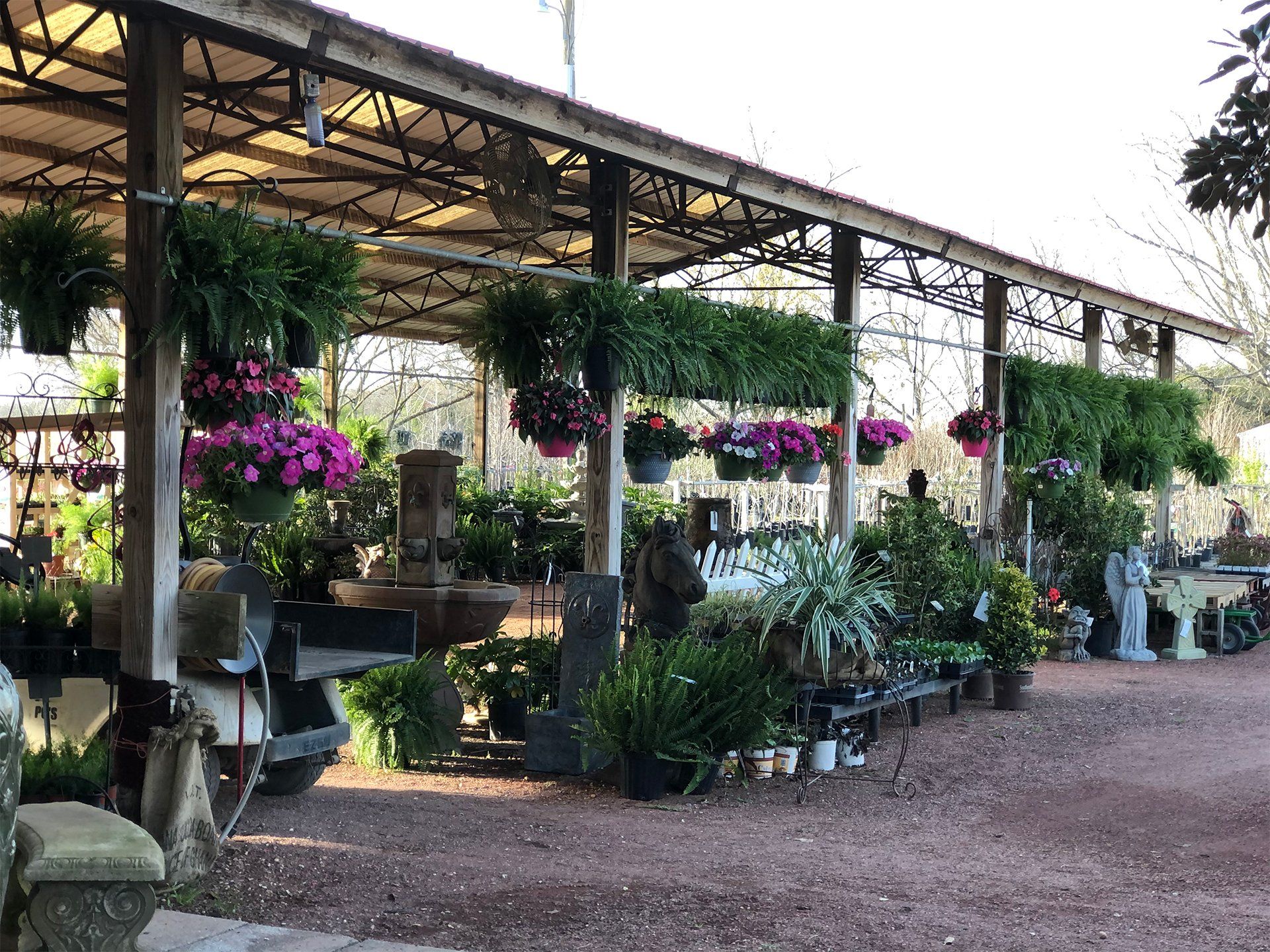 Plant nursery dothan al