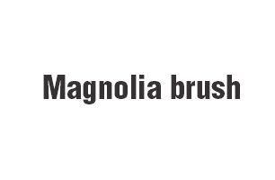 Magnolia brush