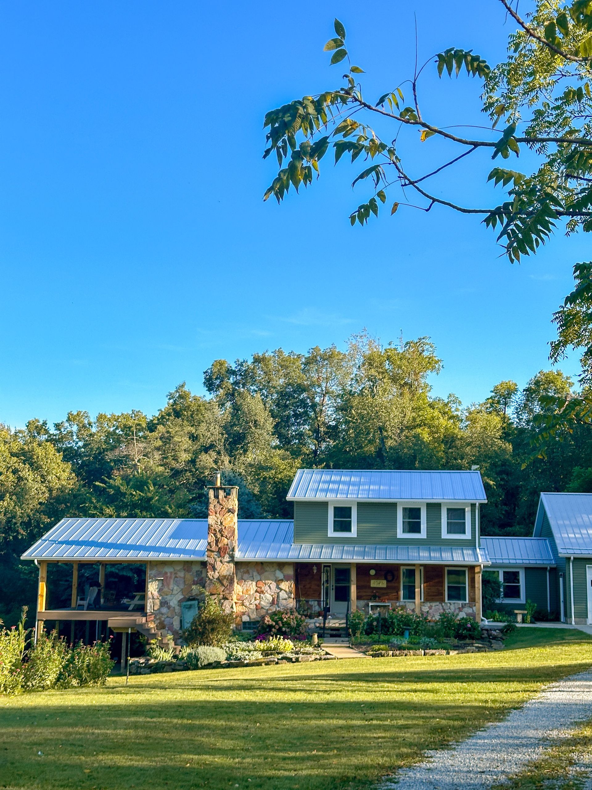 A green house with a white roof is surrounded by trees