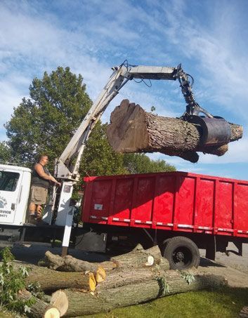 Man operating a crane on a truck, loading a large tree trunk into a red truck bed. Outdoors, sunny.
