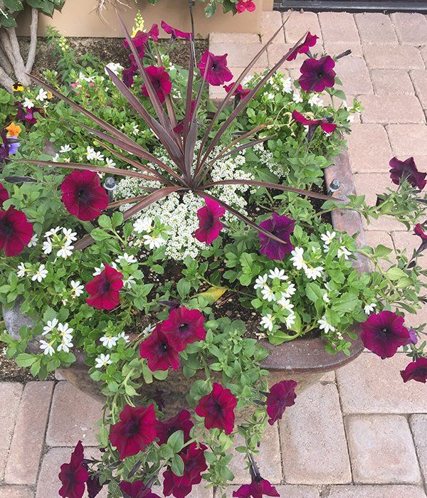 Landscaping services