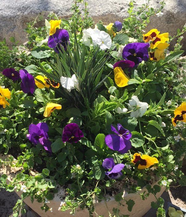 Landscaping services