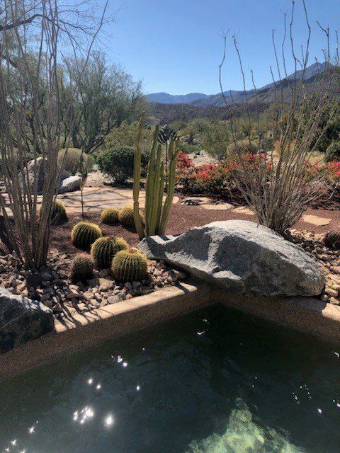 Swimming pool service