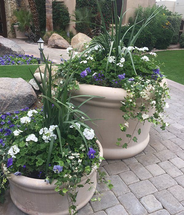 Landscaping services