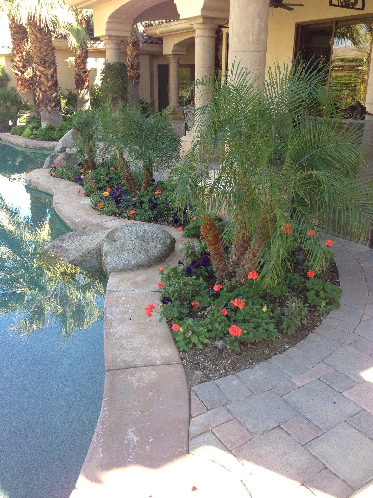 Swimming pool service