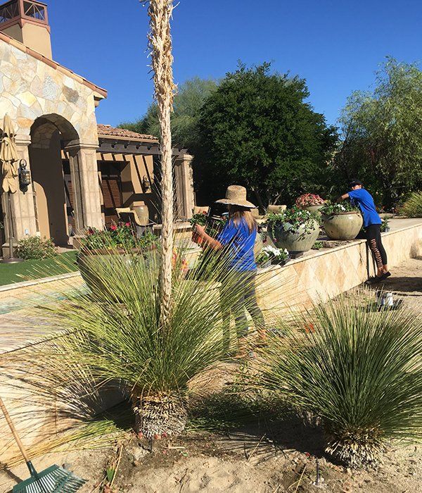 Landscaping services