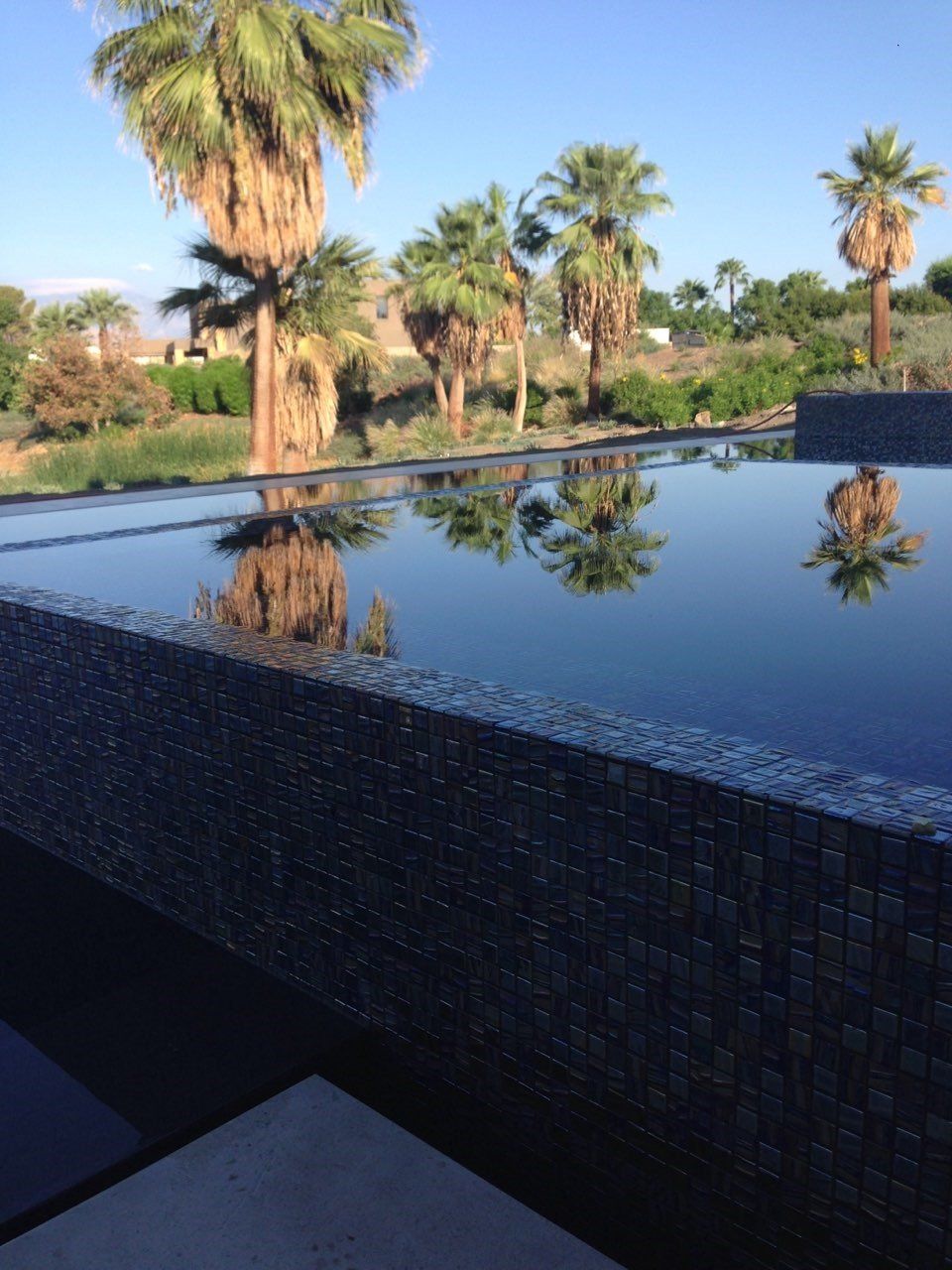 Swimming pool service