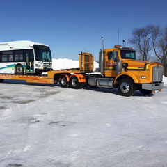 Yellow semi-truck transporting a white and blue city bus on a flatbed trailer, in a snow-covered area.