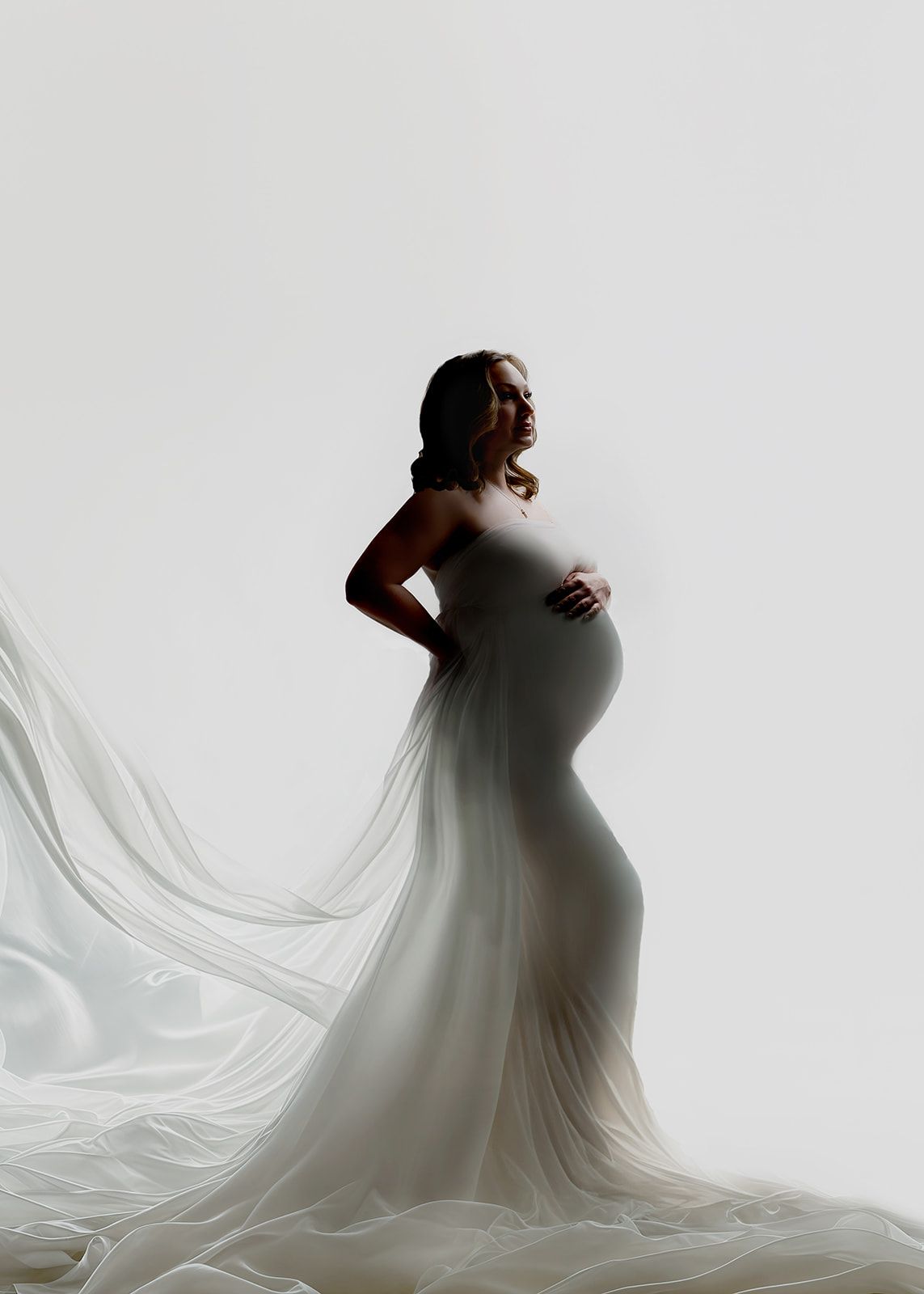 Silhouetted pregnant figure in a flowing white gown with a long sheer train against a light background.