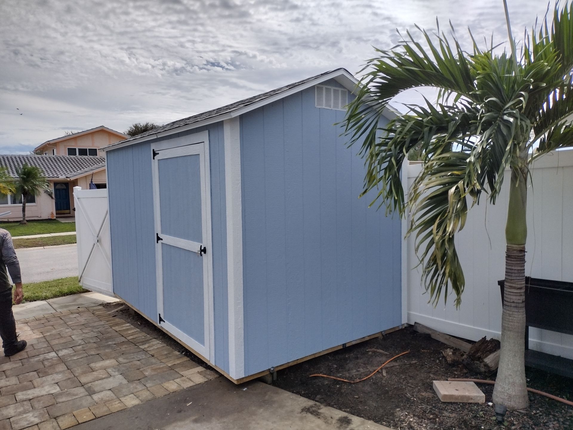 A blue and white shed is sitting in a driveway next to a palm tree.