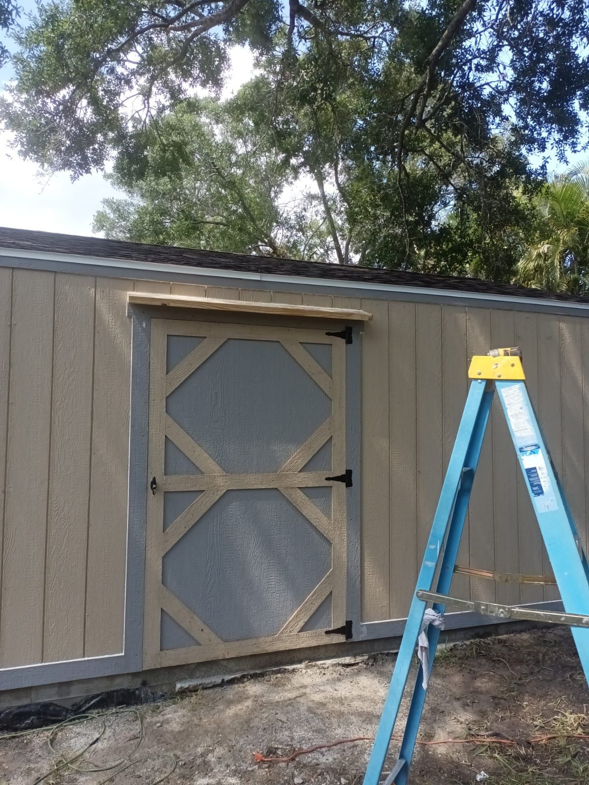 A blue ladder is sitting in front of a shed.
