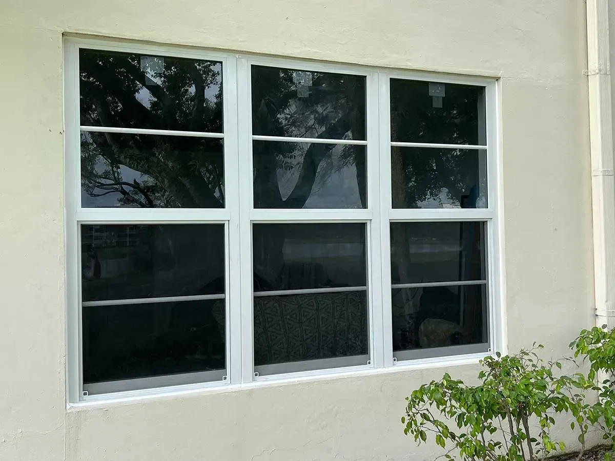 White-framed window with six panes on a beige wall. A tree is visible through the glass.
