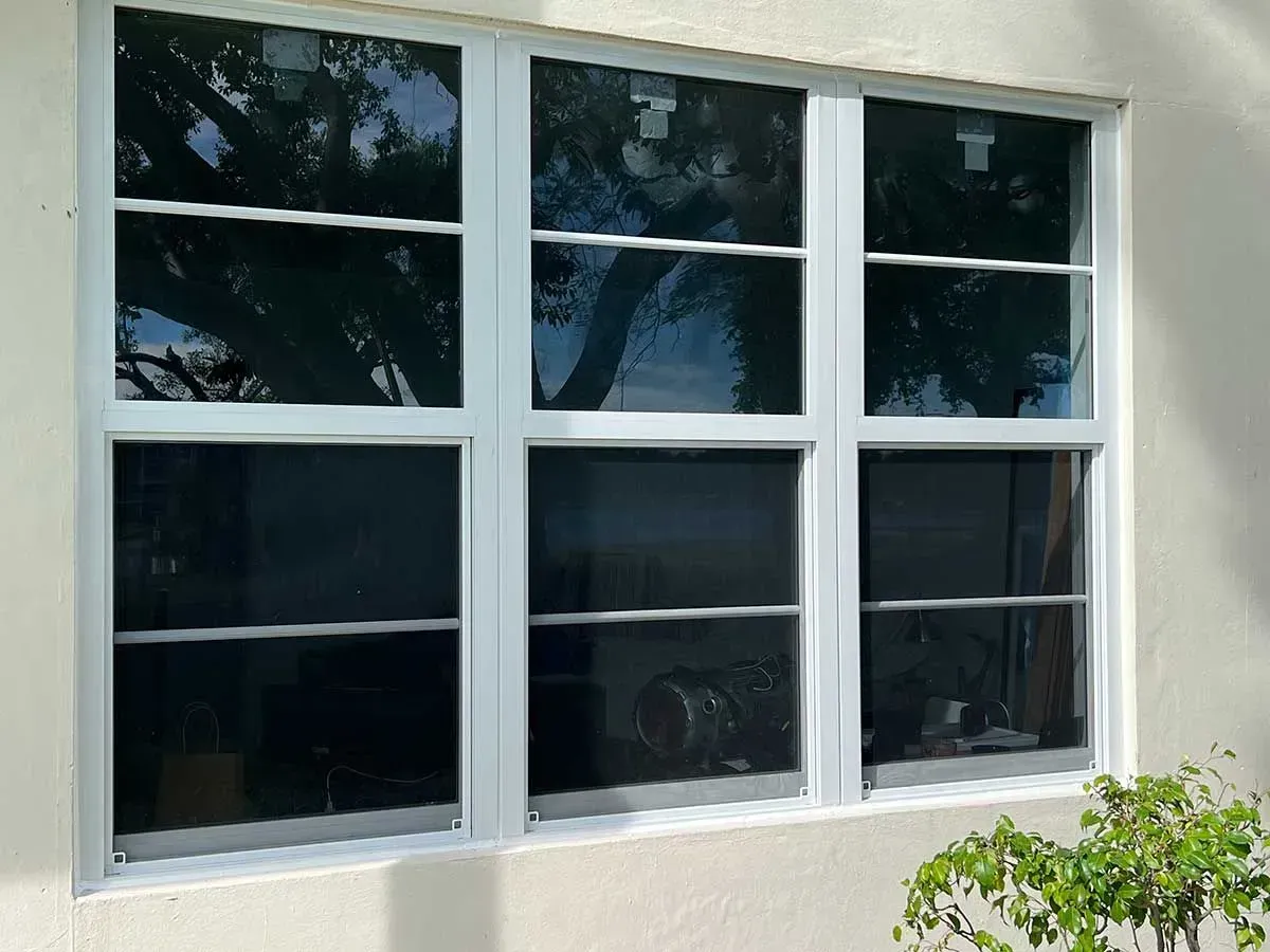 White framed windows with six panes, reflecting outdoor trees and a building exterior.