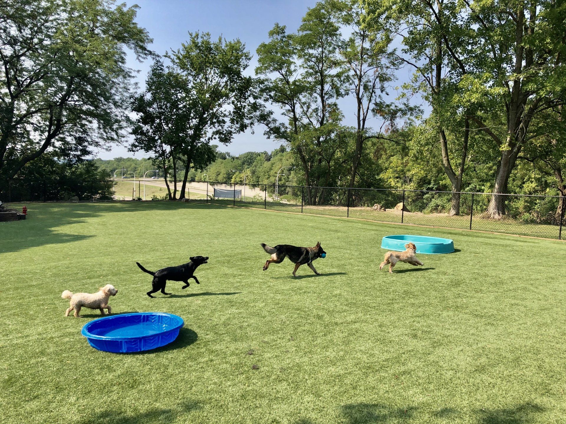Pet Day Care Pet Bath Peru, IL