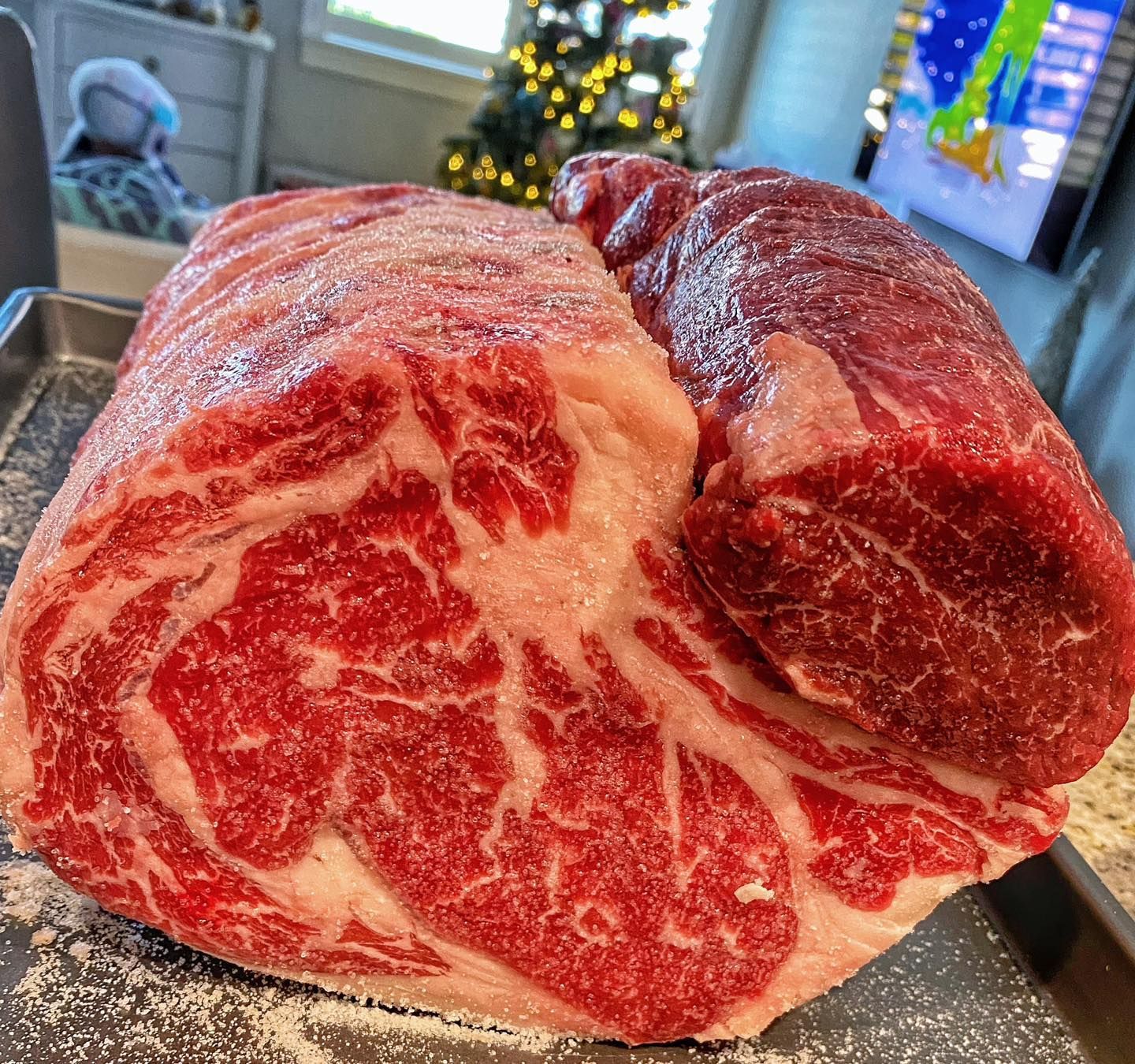 A large, raw, heavily marbled beef roast covered in salt sits on a metal tray, indoors near a Christmas tree.