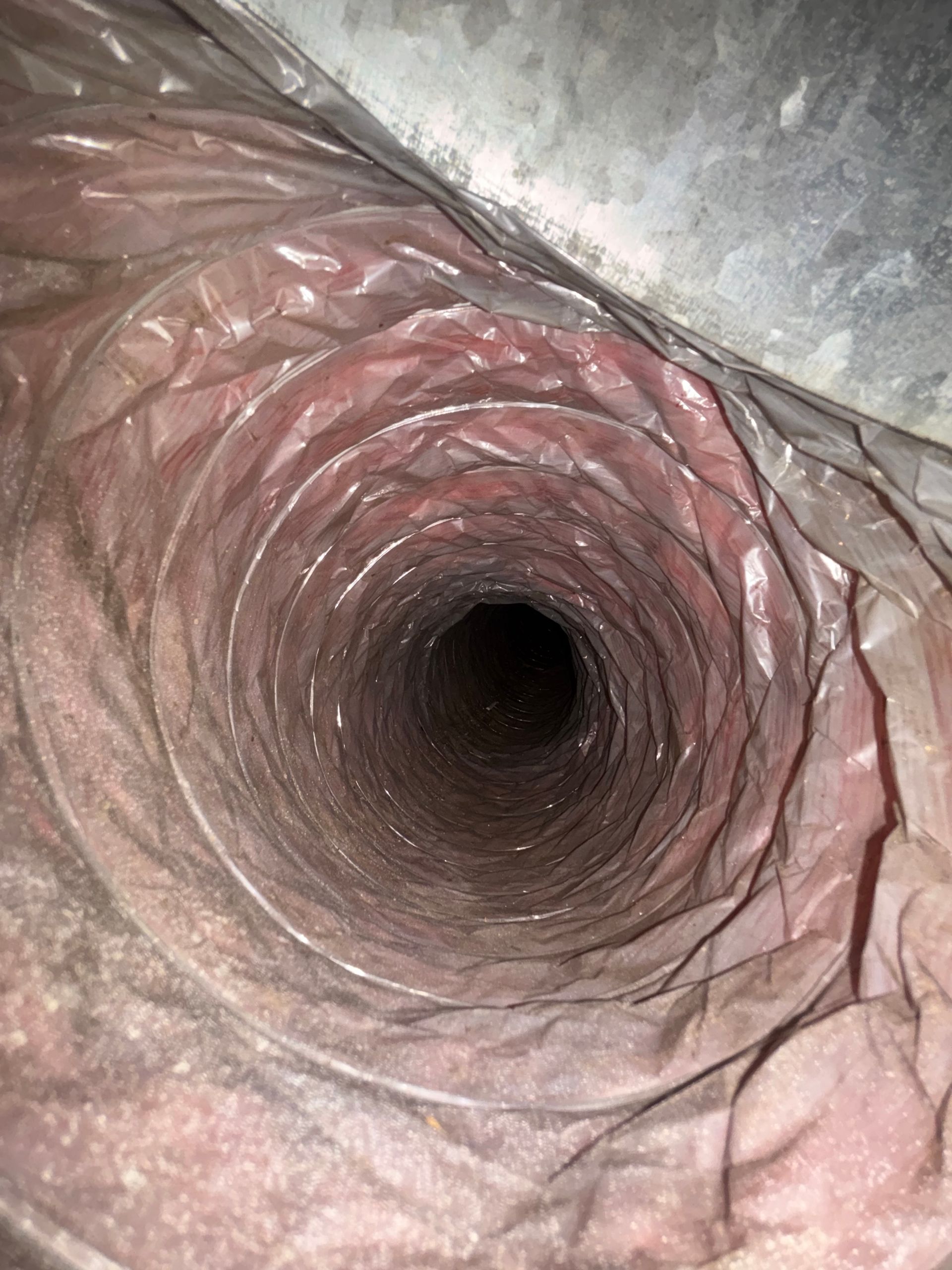 Inside view of a pink, wrinkled tunnel or tube with a dark opening at the center
