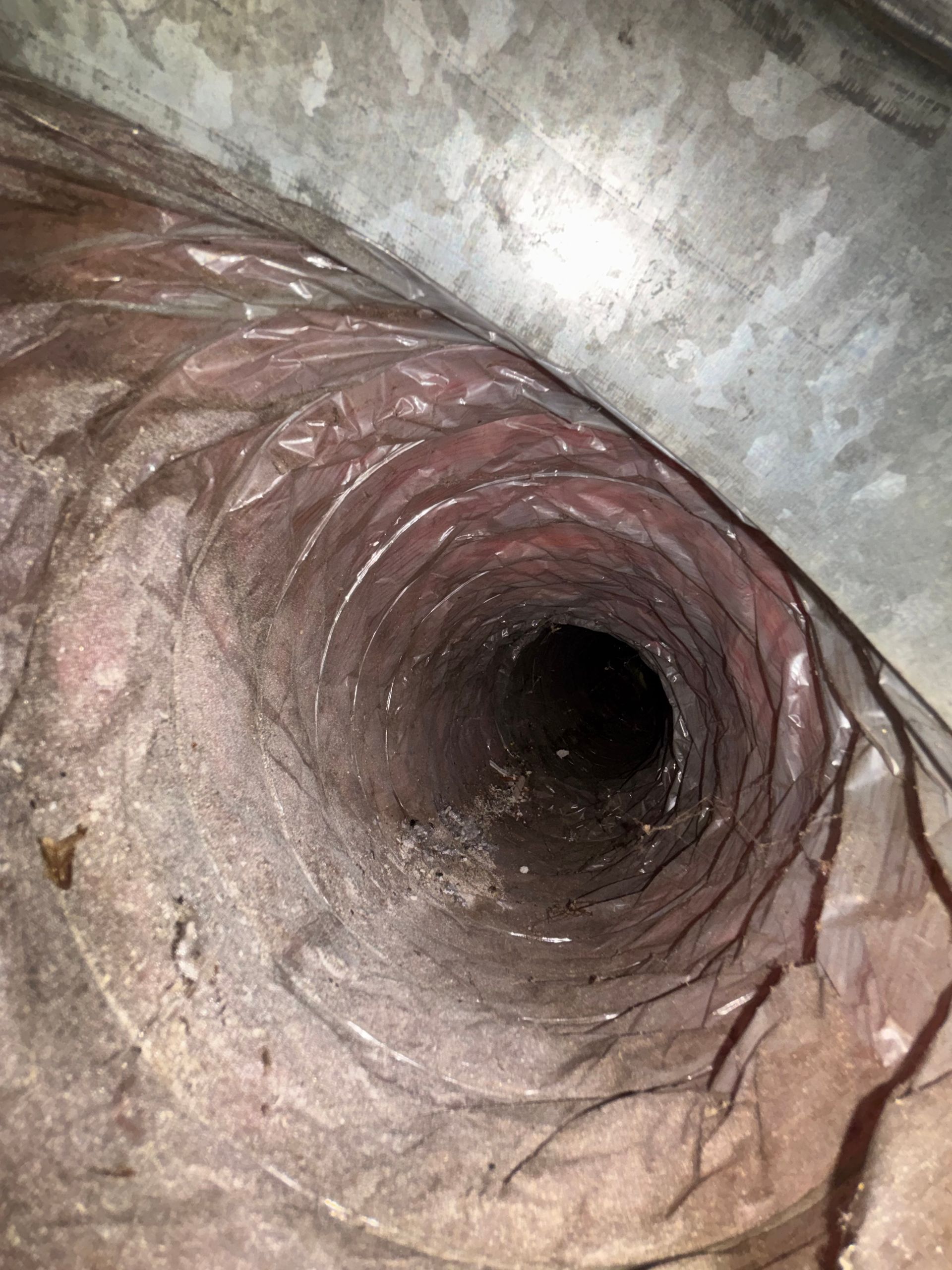 Close-up of a narrow, spiraling tunnel opening with rough gray and pink surfaces