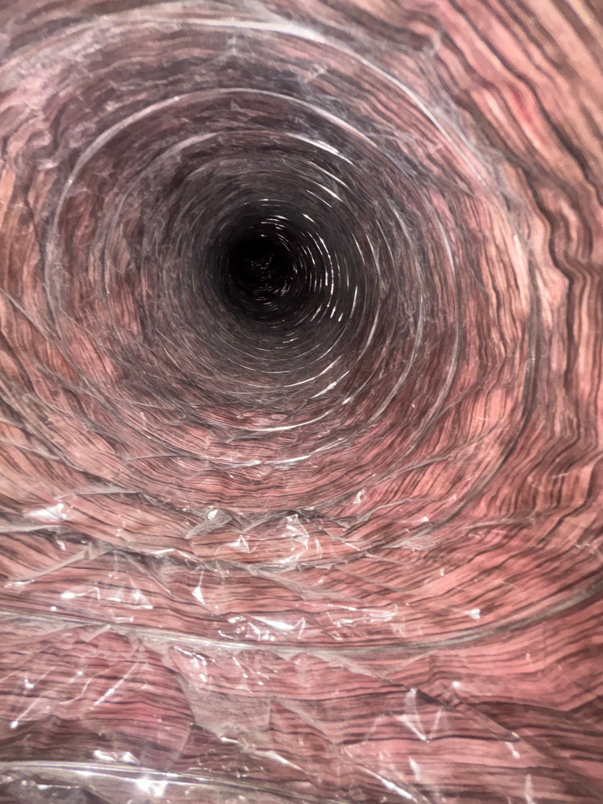 Inside of a pink, fleshy tube with a dark circular opening at the center