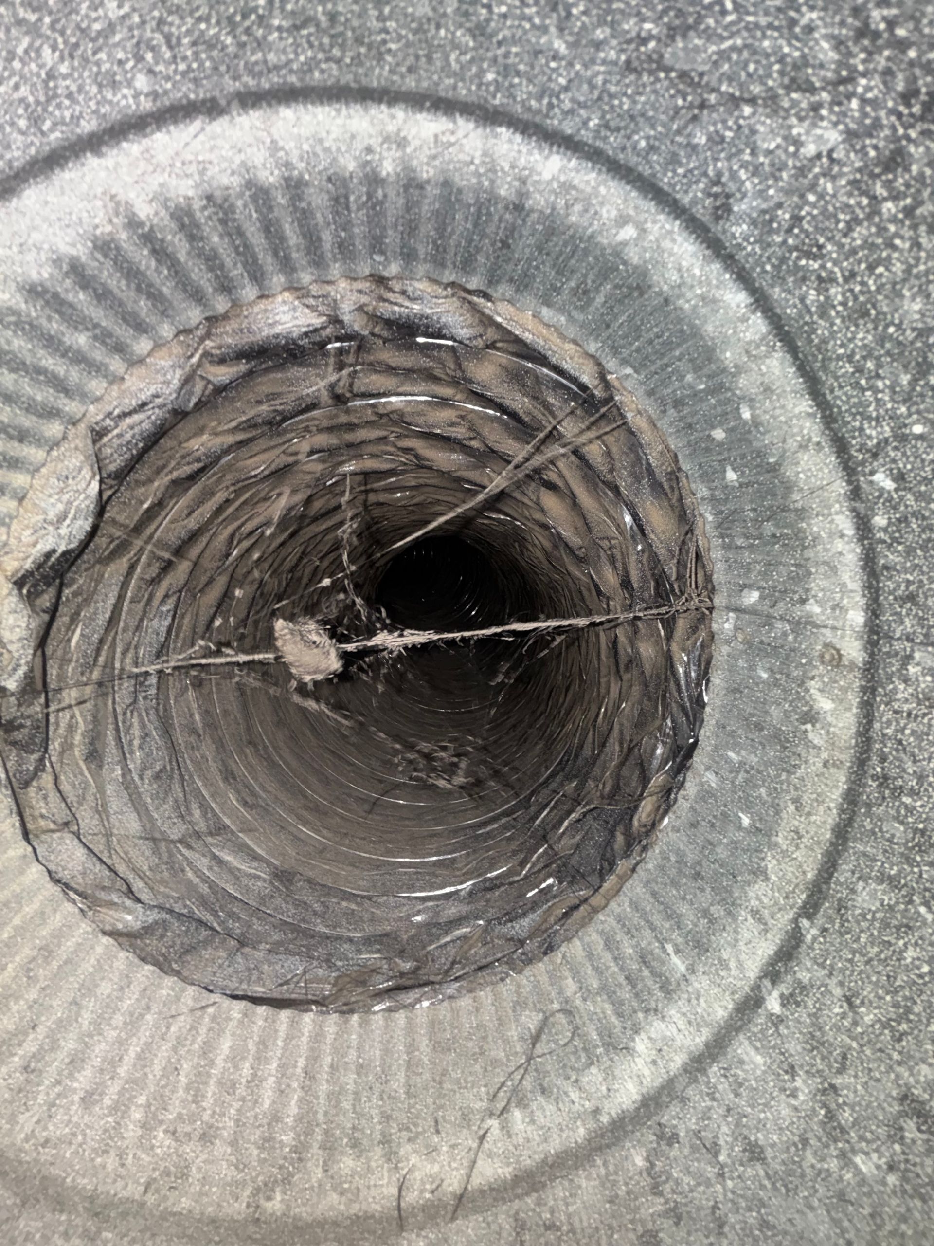 Close-up of a circular metal drain opening with debris and spiderwebs inside.
