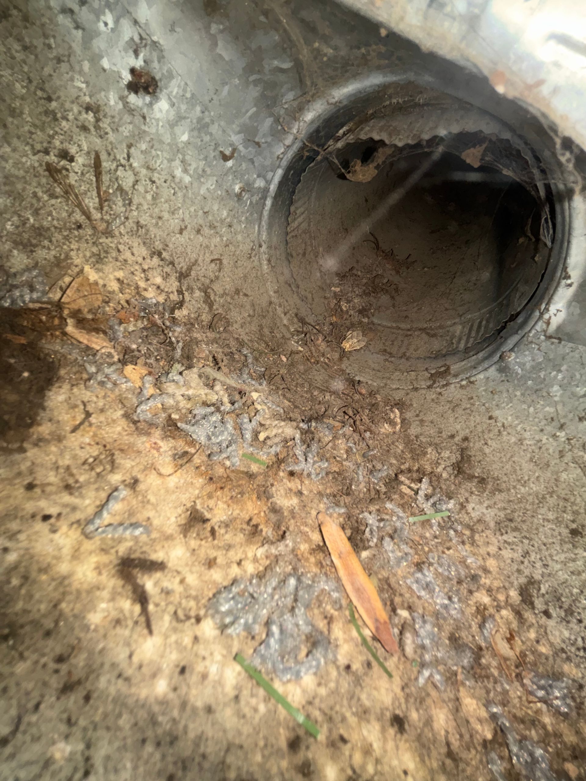 Rusty drain pipe opening in a dirty concrete surface with debris and grime around it