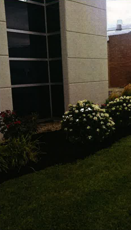 Building corner with windows, brick wall, and flowering shrubs beside a green lawn
