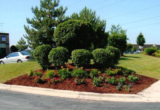 commercial lawn maintenance tinley park il