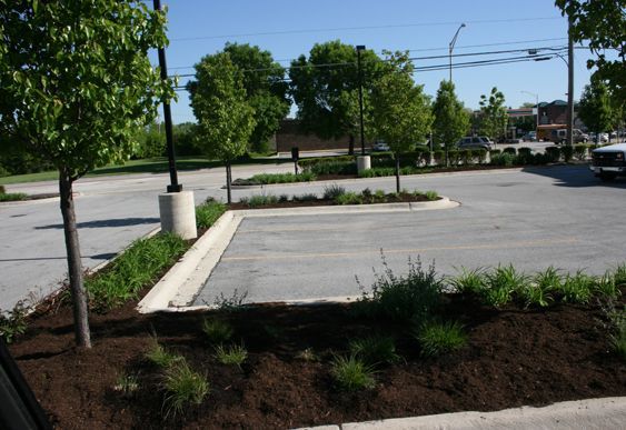 Commercial Projects