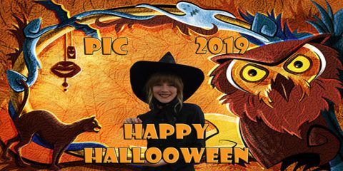 A woman in a witch costume is posing for a picture with an owl and a cat.