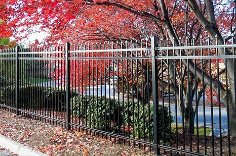 Iron Fence