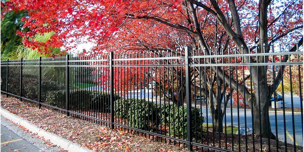 Wrought-Iron Fences