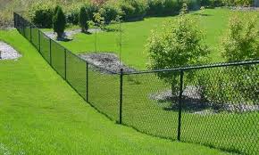 Chain-Link Fence