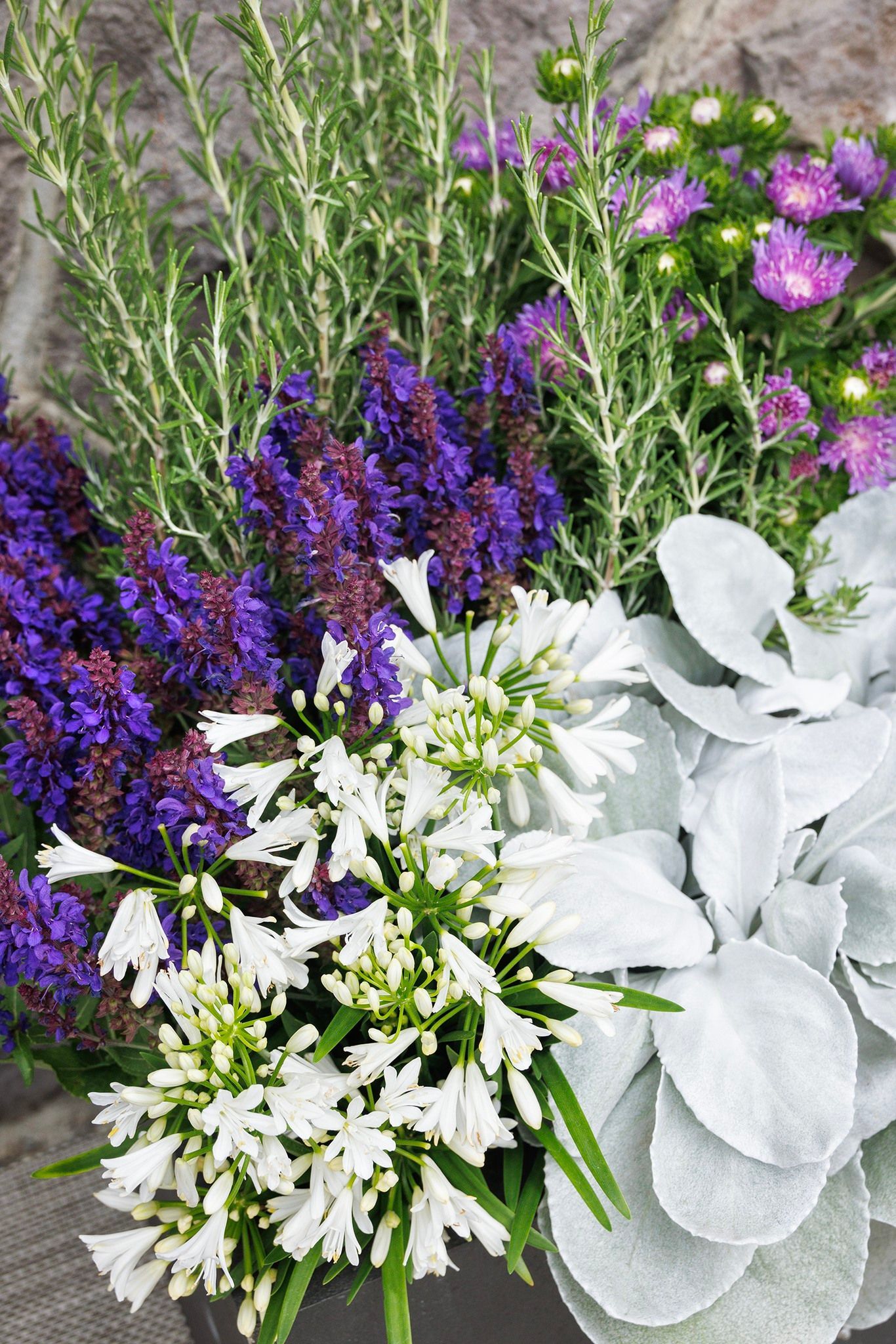 A close up of a vase filled with purple and white flowers.