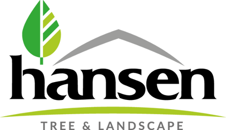 The logo for hansen tree and landscape has a green leaf on it.