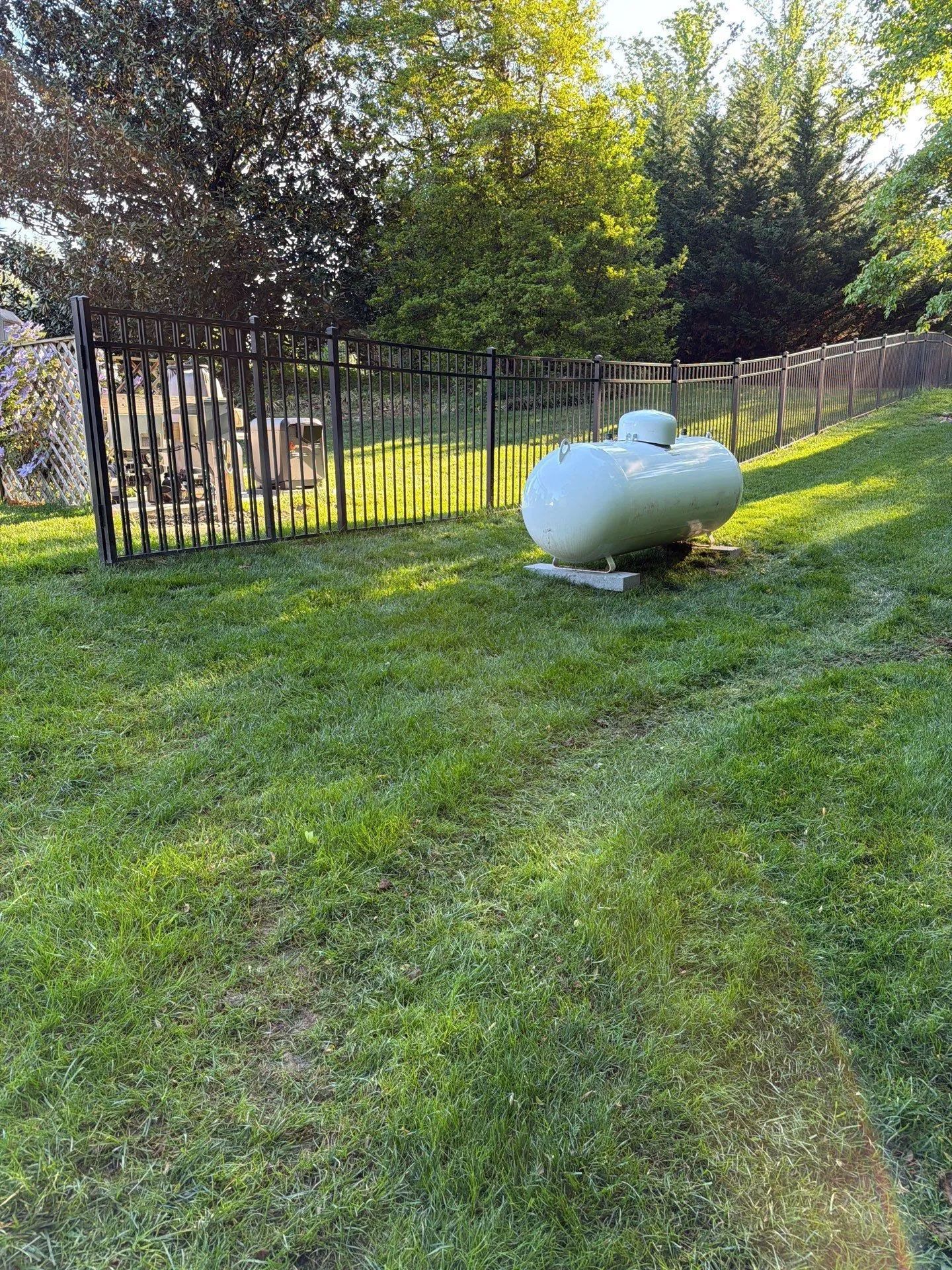 Backyard lawn with a black metal fence and a white propane tank in the foreground