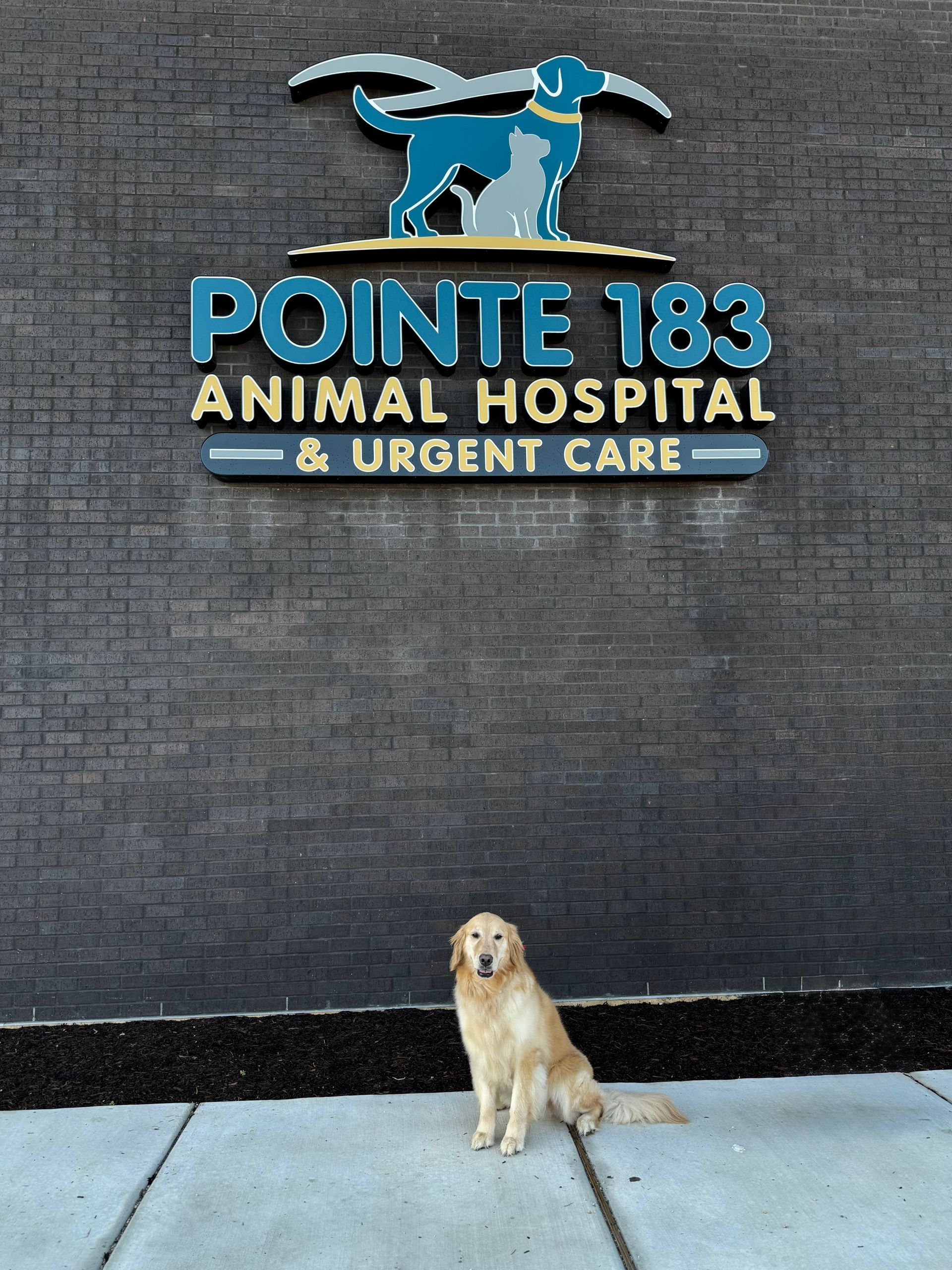 A dog sitting in front of a pointe 183 animal hospital sign