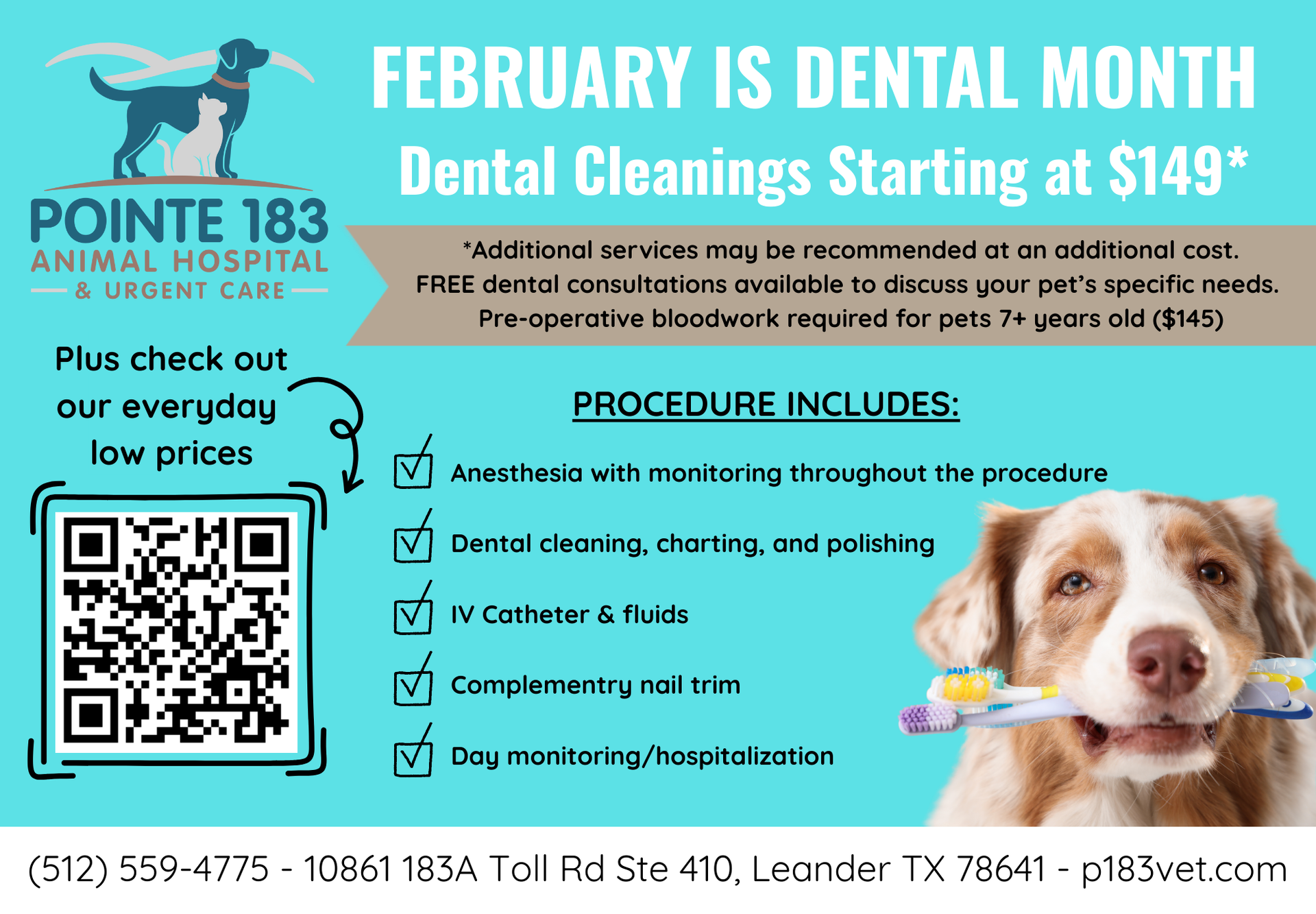 Advertisement for Pointe 183 Animal Hospital offering dental cleanings. Dog holding a toothbrush, with a QR code and contact info.