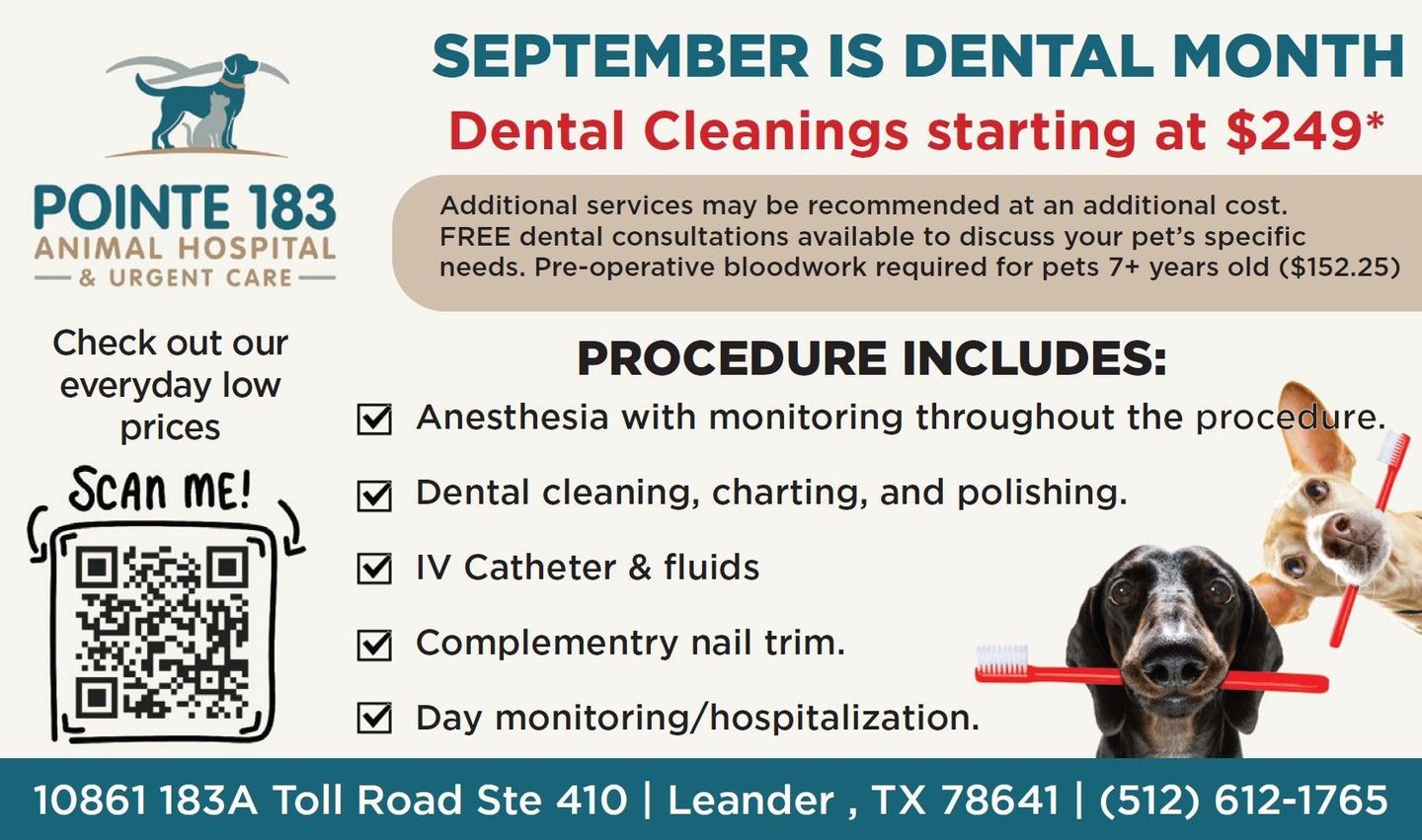 Dental clinic ad for September Dental Month with pet services, prices, and a dog and cat beside a smiling vet