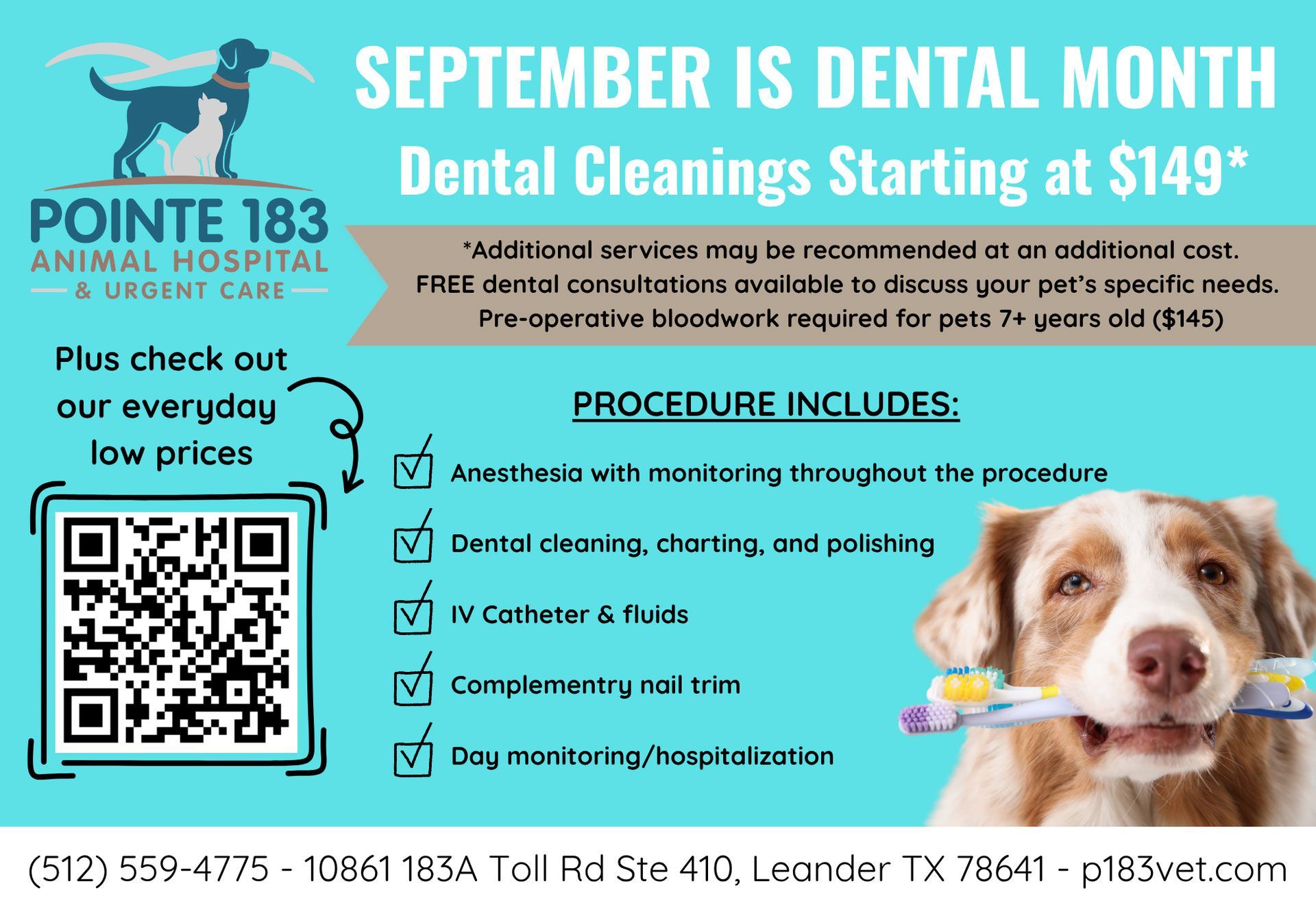 September Dental Special for Pointe 183 Animal Hospital & Urgent Care